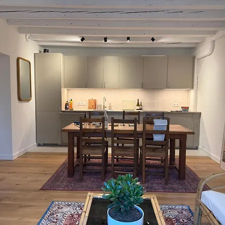 Apartament Luxury Refurbished In An Old Barn Ferney-Voltaire