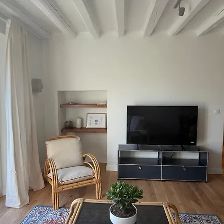 Luxury Refurbished In An Old Barn Apartament Ferney-Voltaire