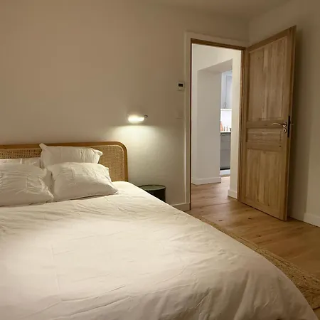 Luxury Refurbished In An Old Barn Ferney-Voltaire